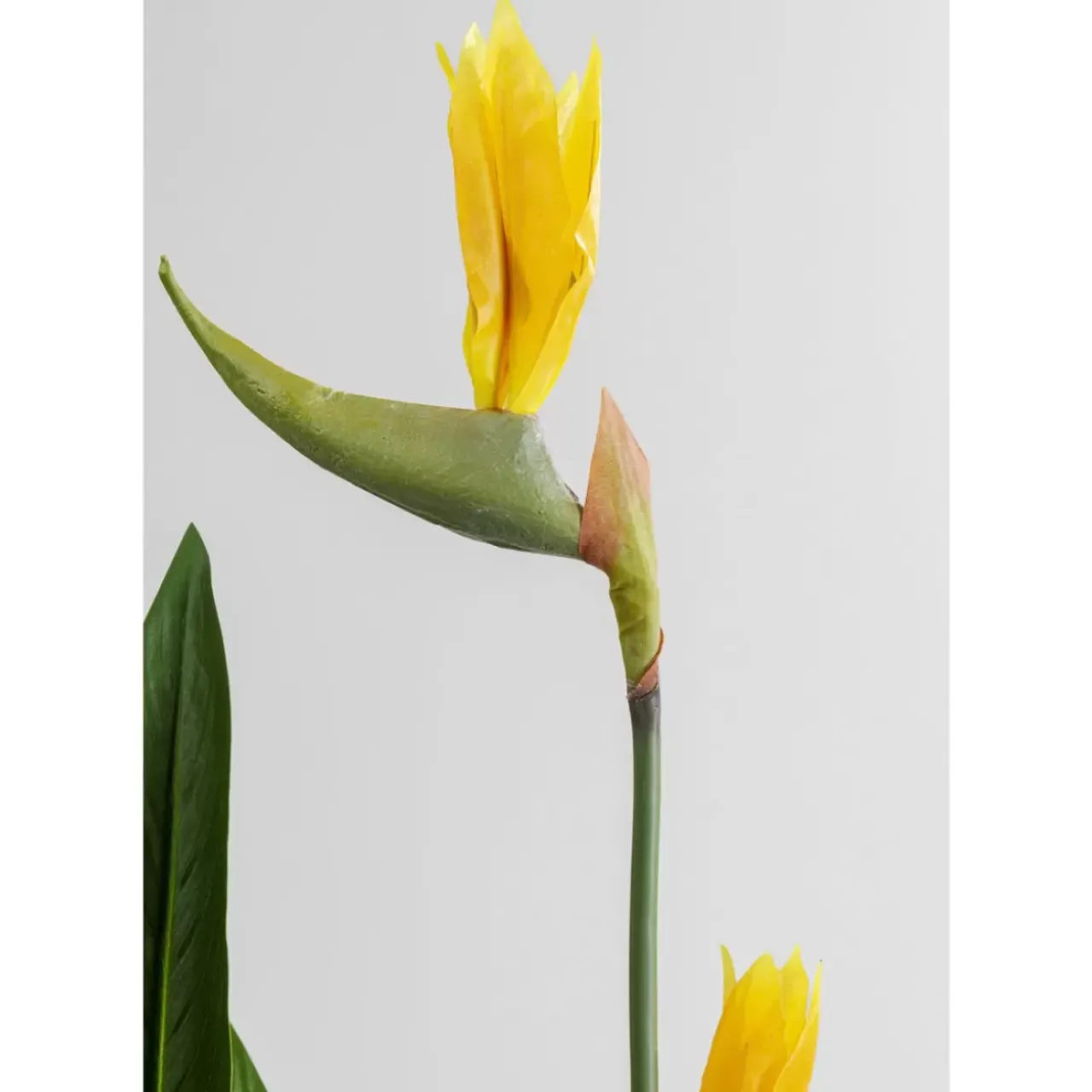KARE Design Deko & Geschenkartikel-Deko Pflanze Paradise Flowers 190