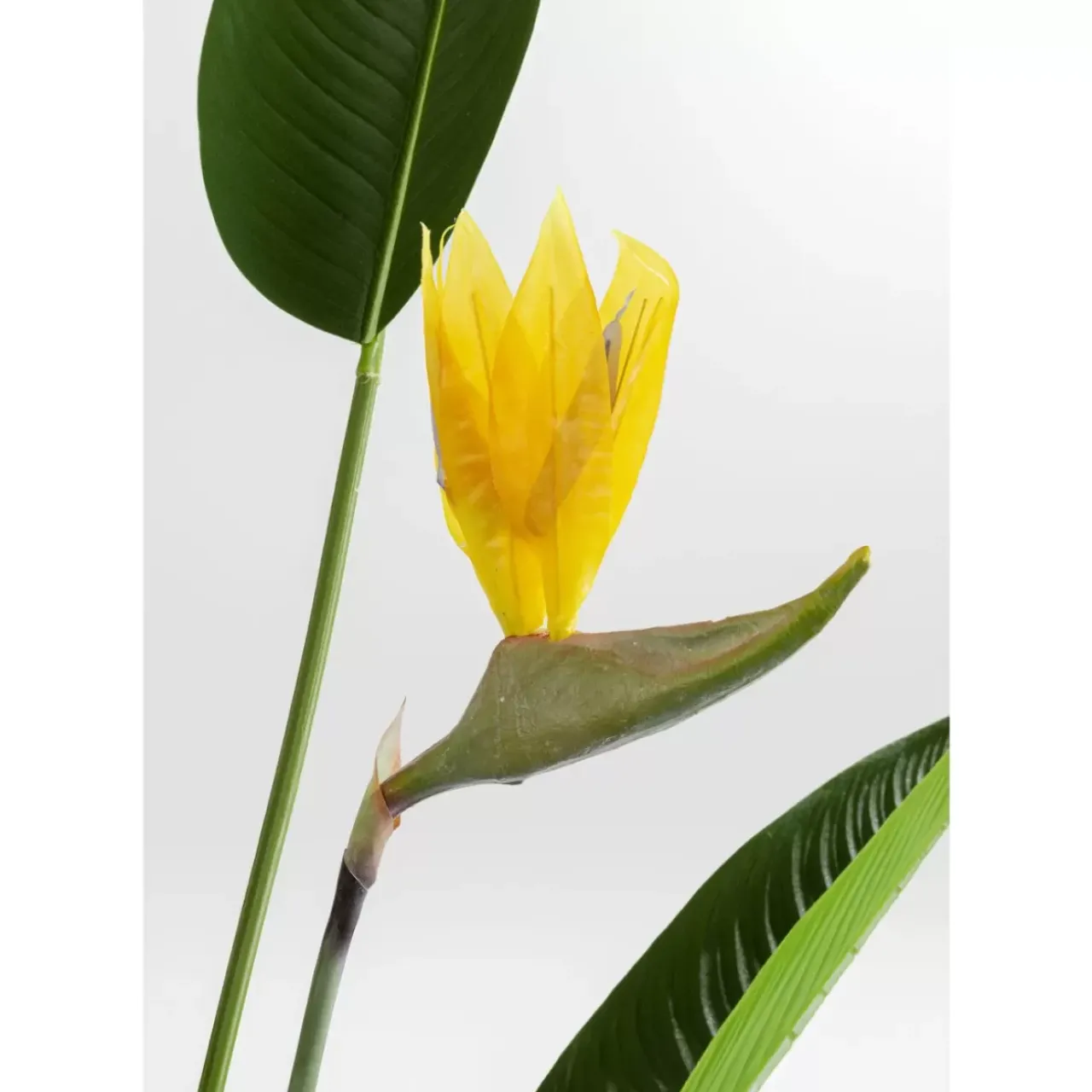 KARE Design Deko & Geschenkartikel-Deko Pflanze Paradise Flowers 190