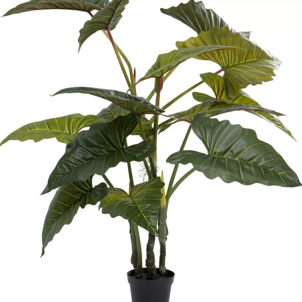 KARE Design Deko & Geschenkartikel-Deko Pflanze Taro 180