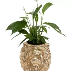 KARE Design Aufbewahrung & Ordnung-Deko Ubertopf Lion Gold