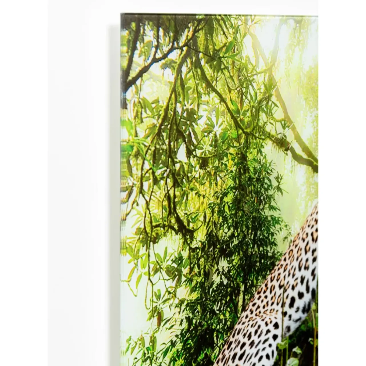 KARE Design Bilder-Glasbild Animal Paradise 150X100Cm