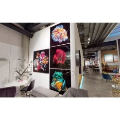 KARE Design Bilder-Glasbild Aqua Queen Fish 100X100Cm