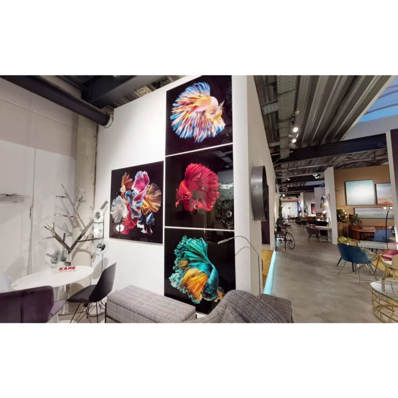 KARE Design Bilder-Glasbild Aqua Queen Fish 100X100Cm
