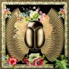 KARE Design Bilder-Glasbild Beetle Flower 100X100Cm