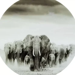 KARE Design Bilder-Glasbild Elephant Walk O120Cm