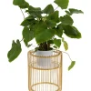 KARE Design Aufbewahrung & Ordnung-Pflanzenstander Wire Gold 44Cm