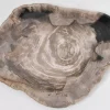 KARE Design Geschirr & Tischaccessoires-Platte Magisch Versteinertes Holz