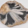KARE Design Geschirr & Tischaccessoires-Platte Toverland Versteinertes Holz
