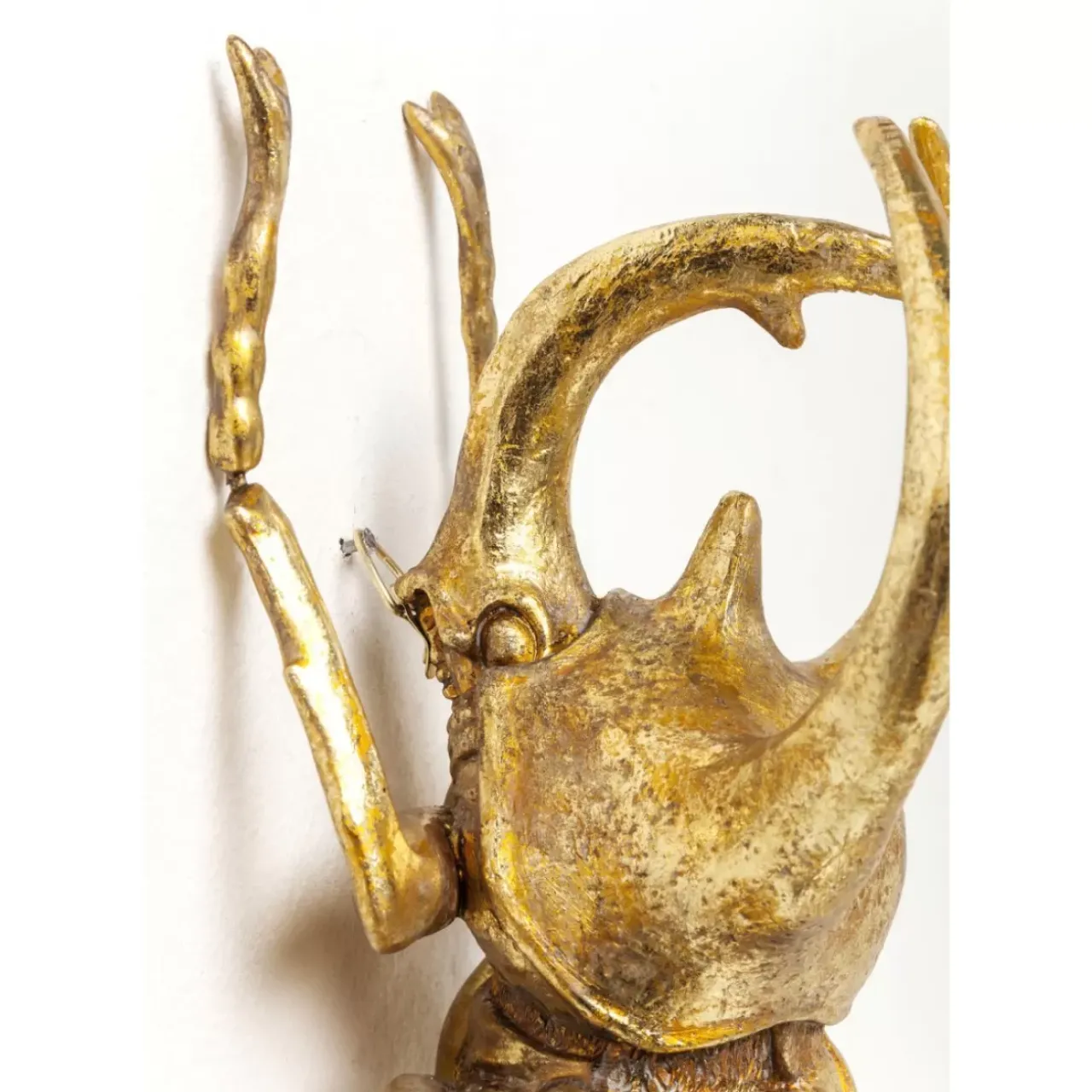 KARE Design Bilder-Wandschmuck Atlas Beetle Gold