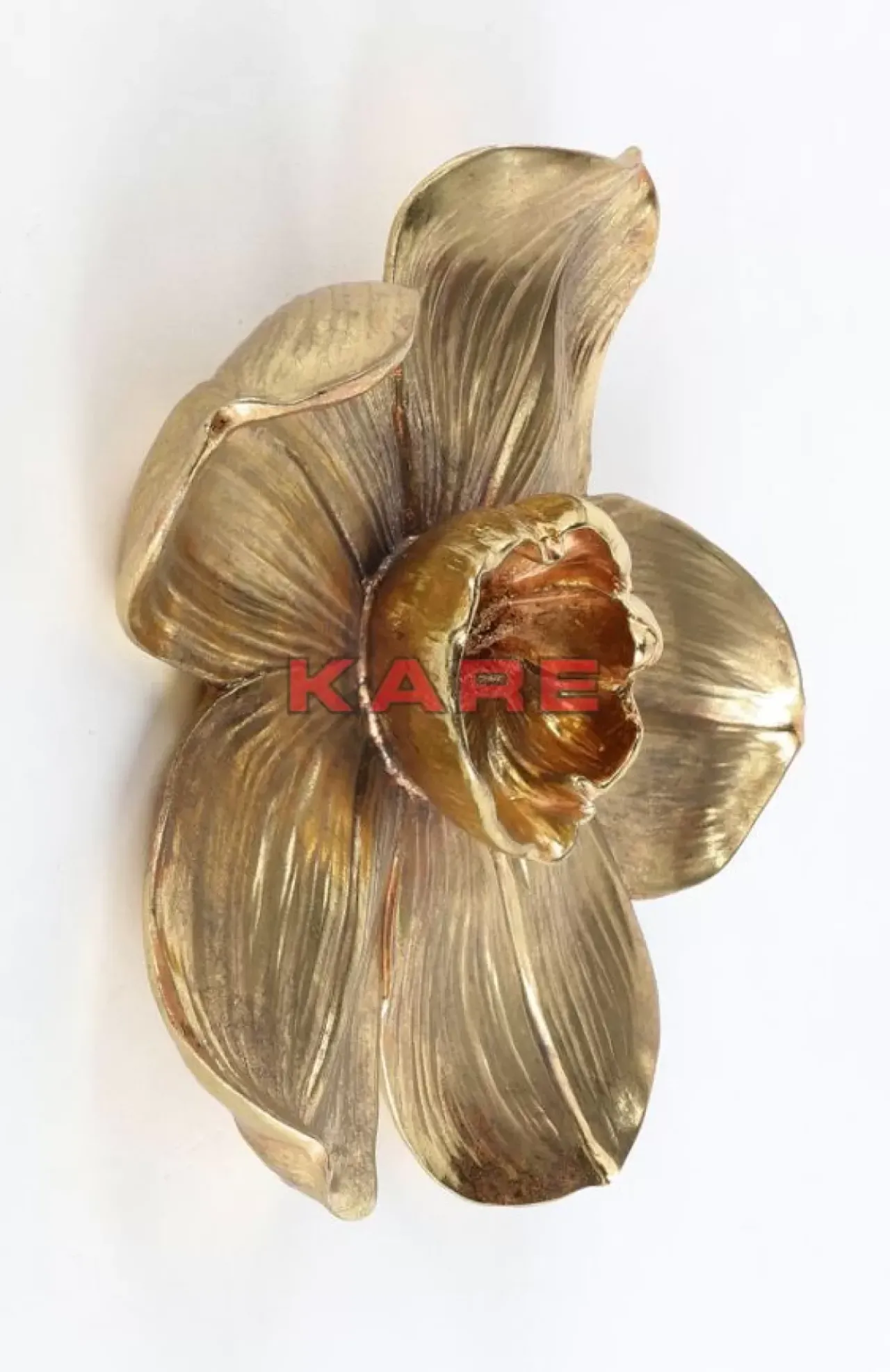 KARE Design Bilder-Wandschmuck Orchid Gold 44Cm