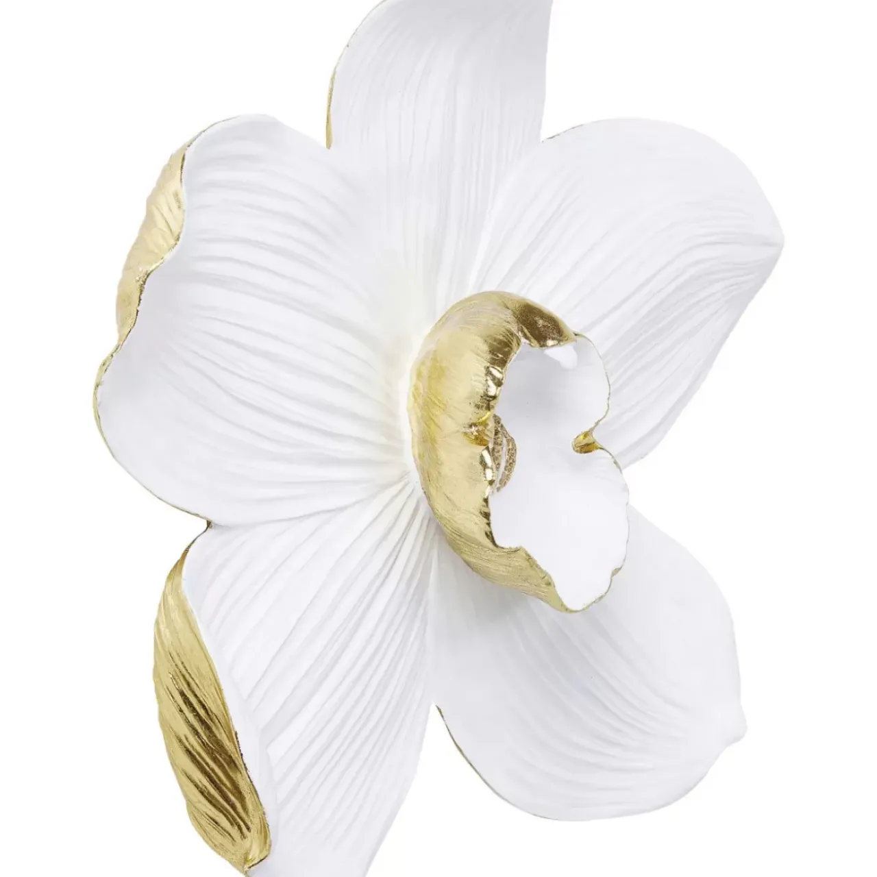 KARE Design Bilder-Wandschmuck Orchid Weis 54Cm