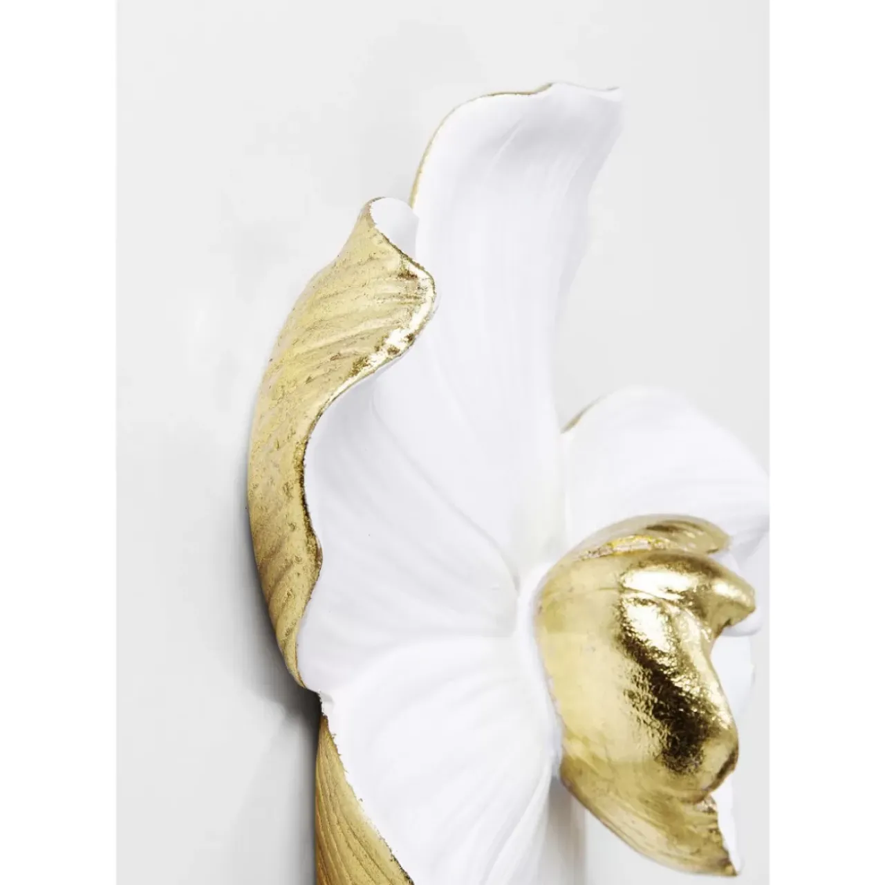 KARE Design Bilder-Wandschmuck Orchid Weis 25Cm