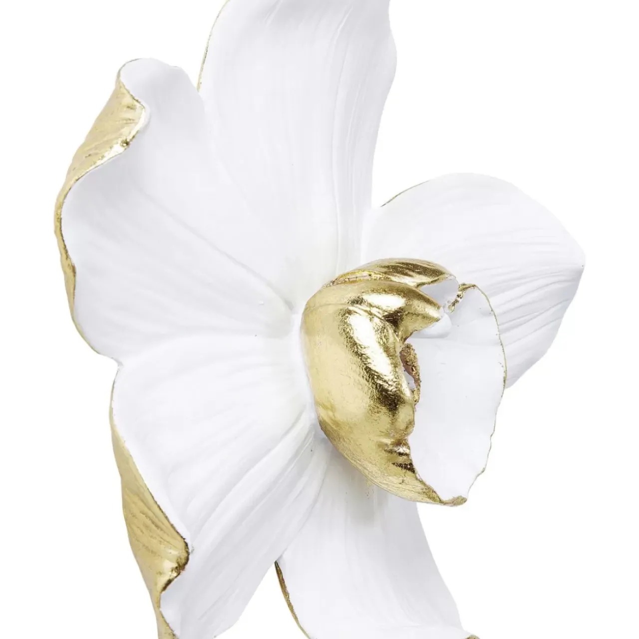 KARE Design Bilder-Wandschmuck Orchid Weis 25Cm